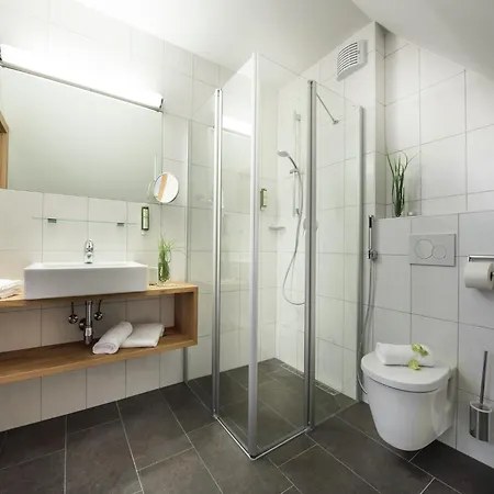 شقة Apartment In Zell Am See Near The Ski Area, Cleaning Included زيل أم سي